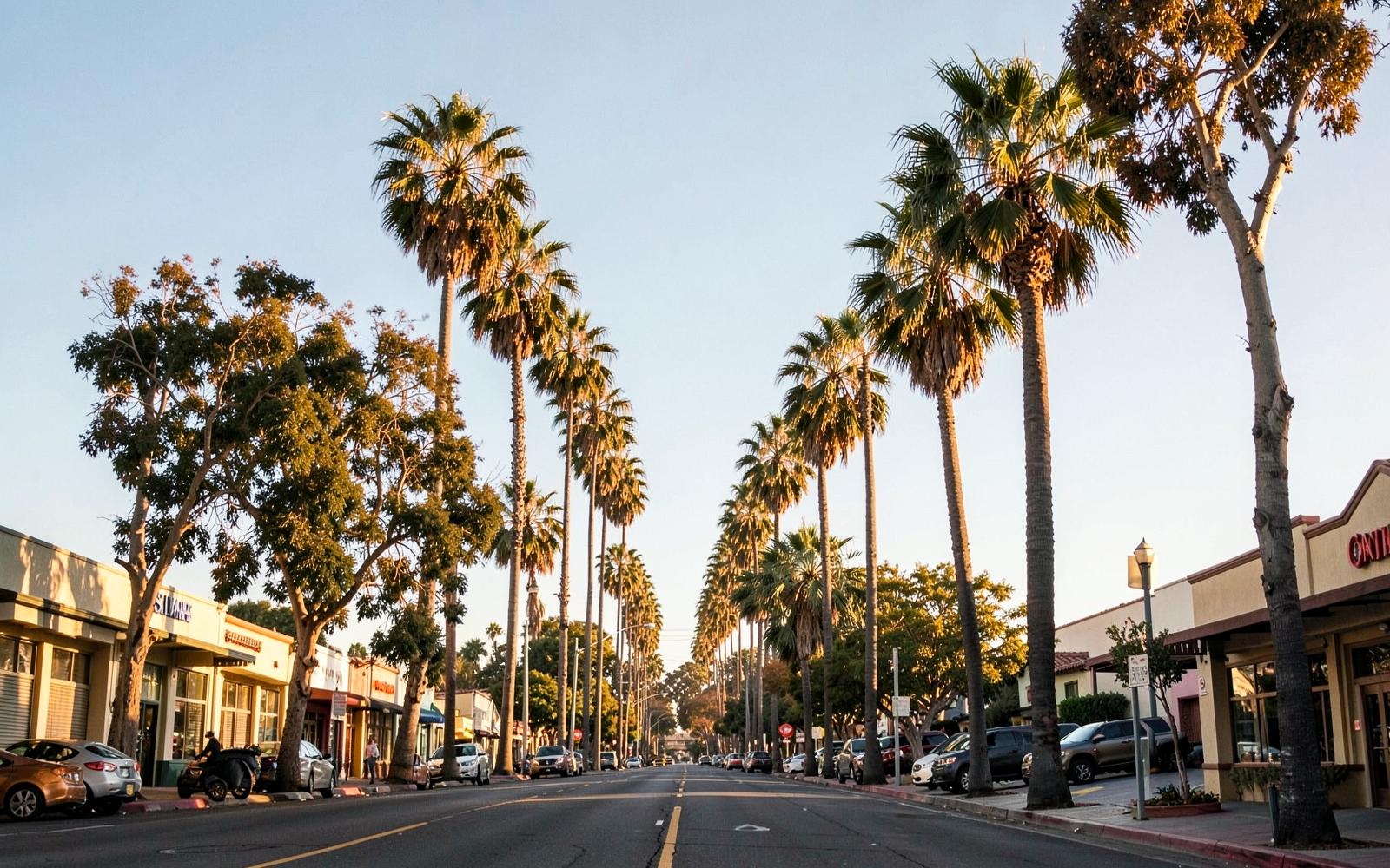 Palm-lined Southern California street in San Diego at golden hour